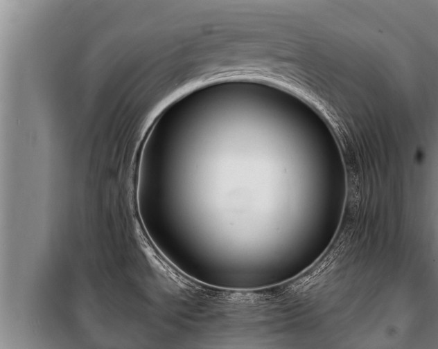 X0000100851534200806271124