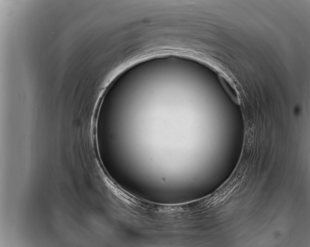 X0000100851535200806271124