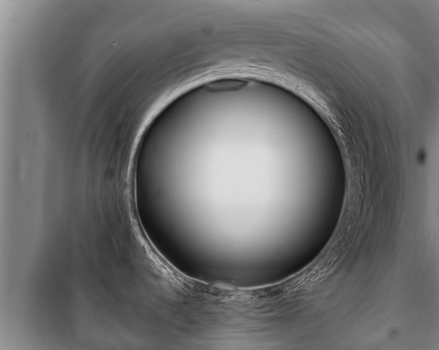 X0000100851536200806271124