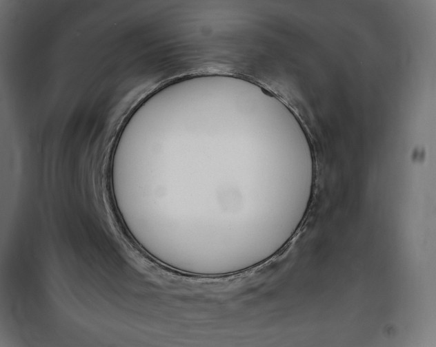 X0000100850001200807070944