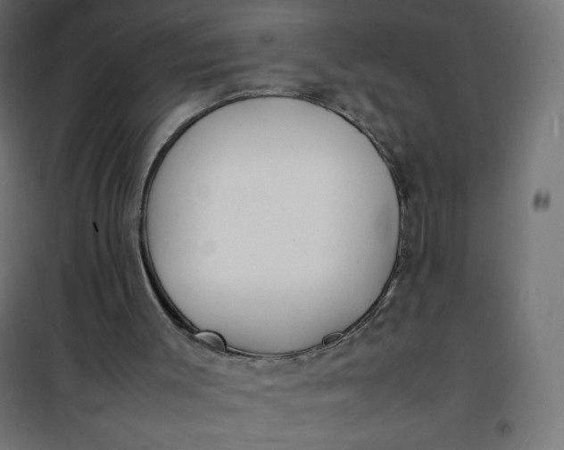 X0000100850003200807070944