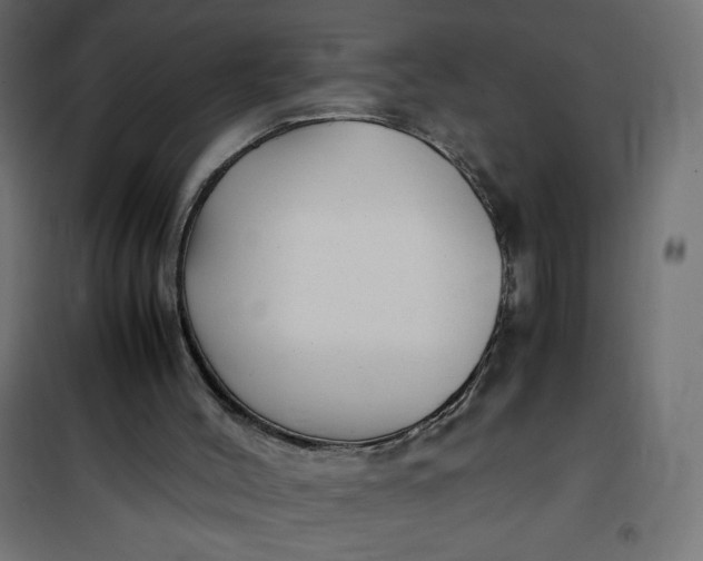 X0000100850004200807070944