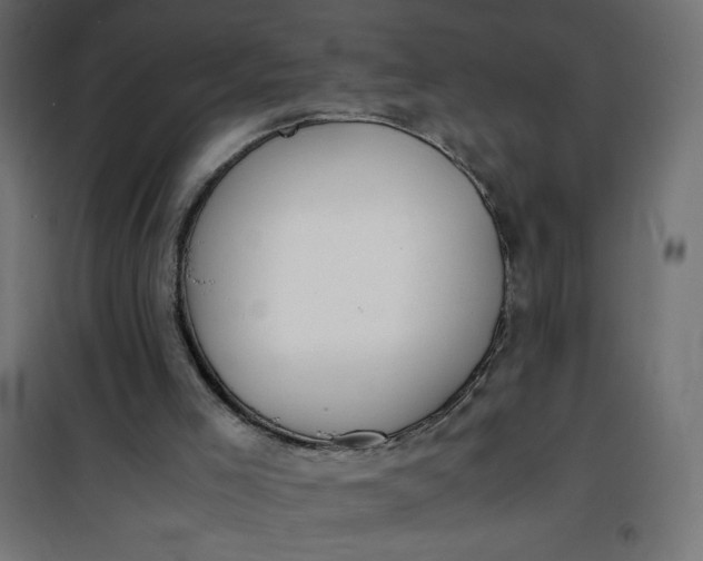 X0000100850005200807070944