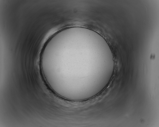 X0000100850006200807070944