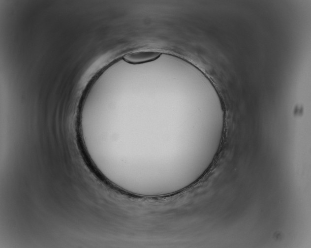 X0000100850007200807070944