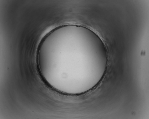 X0000100850008200807070944