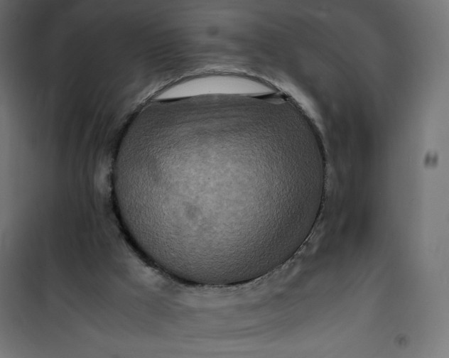 X0000100850009200807070944