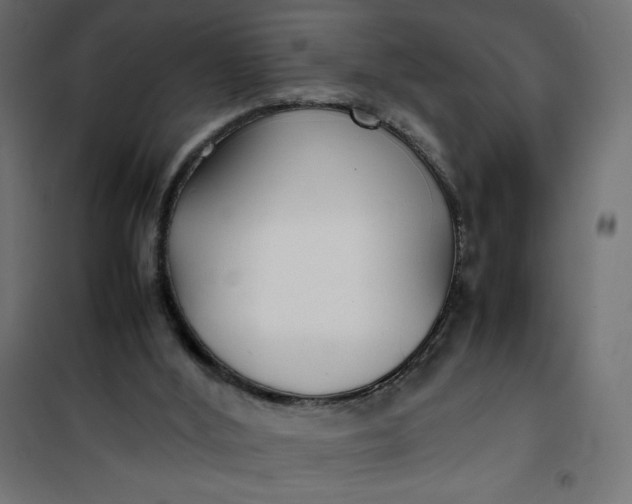 X0000100850012200807070944