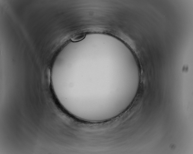 X0000100850013200807070944