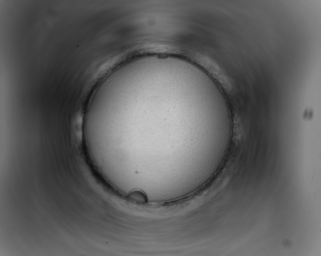 X0000100850014200807070944