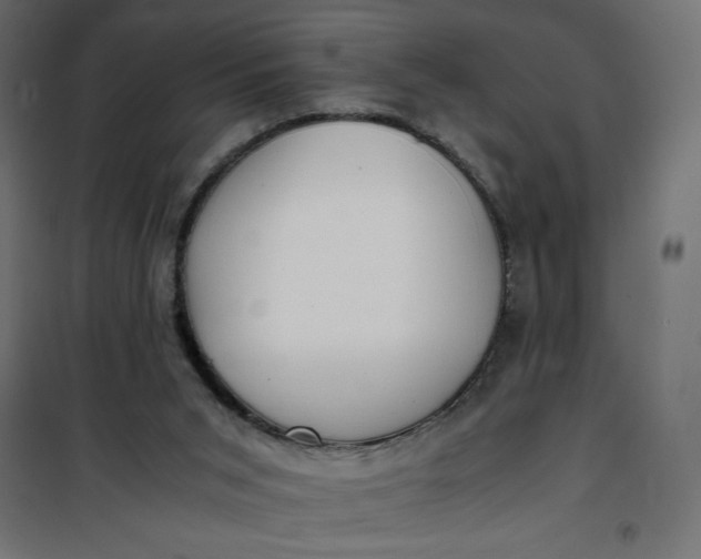 X0000100850015200807070944