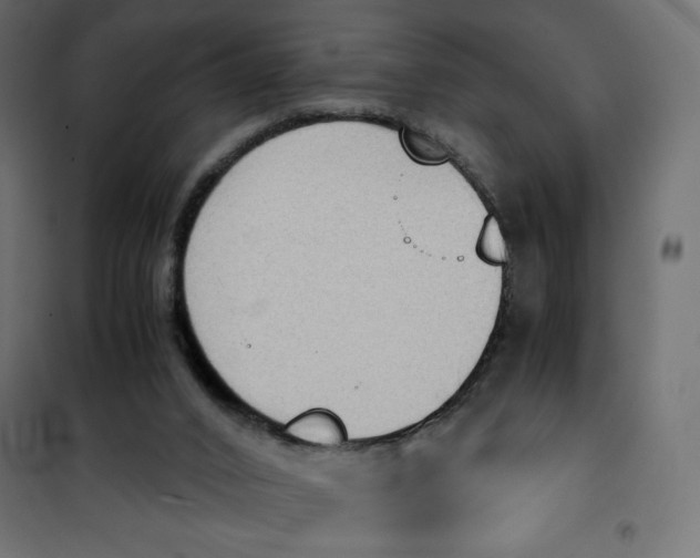 X0000100850016200807070944