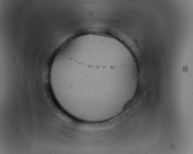 X0000100850017200807070944