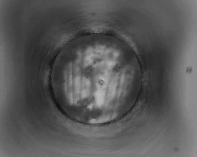 X0000100850018200807070944