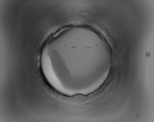 X0000100850019200807070944