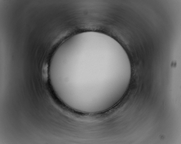 X0000100850020200807070944