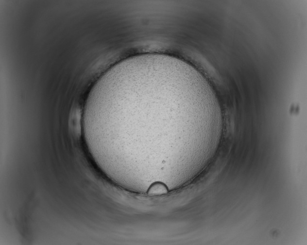 X0000100850022200807070944