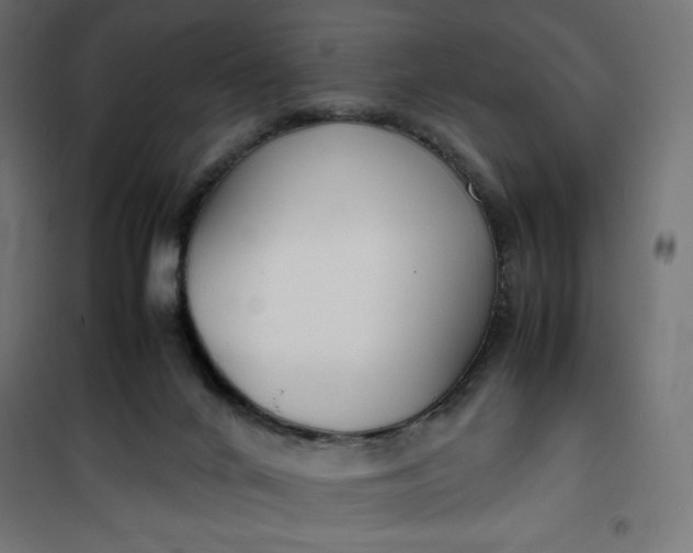 X0000100850024200807070944