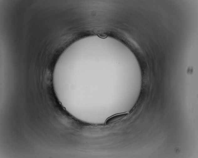 X0000100850025200807070944