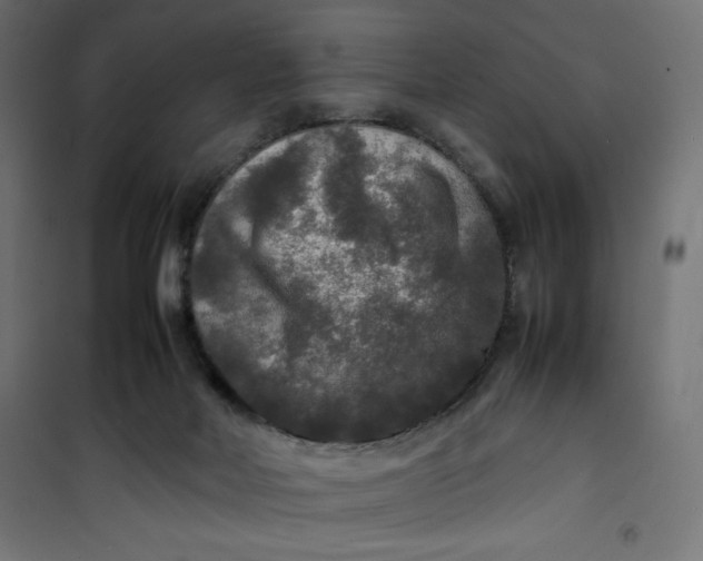 X0000100850026200807070944