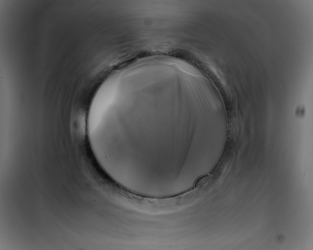 X0000100850027200807070944