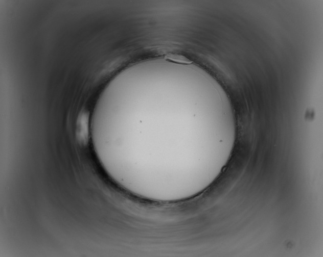 X0000100850028200807070944