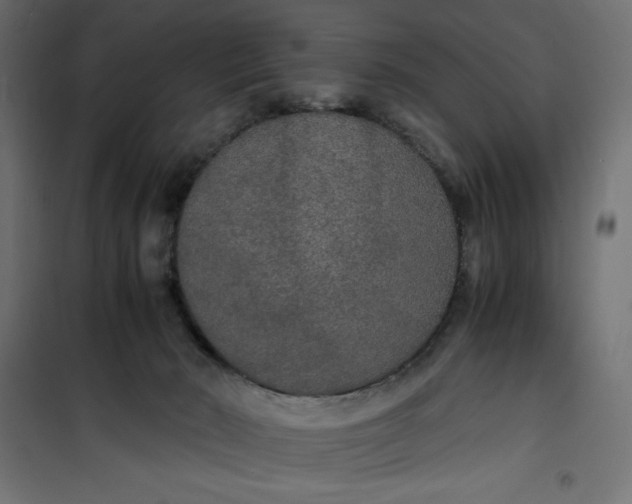 X0000100850030200807070944