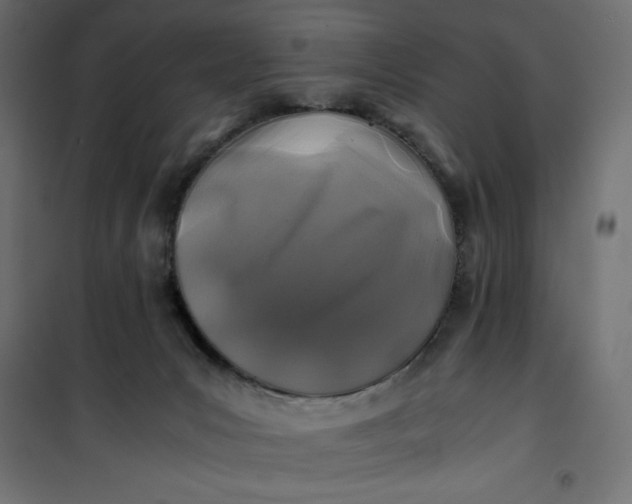 X0000100850031200807070944