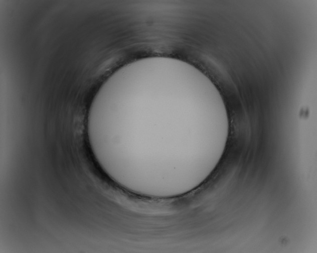 X0000100850032200807070944