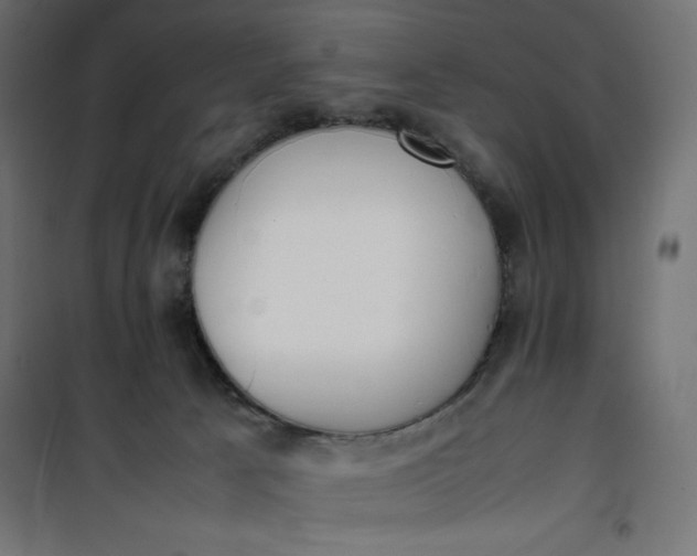 X0000100850033200807070944