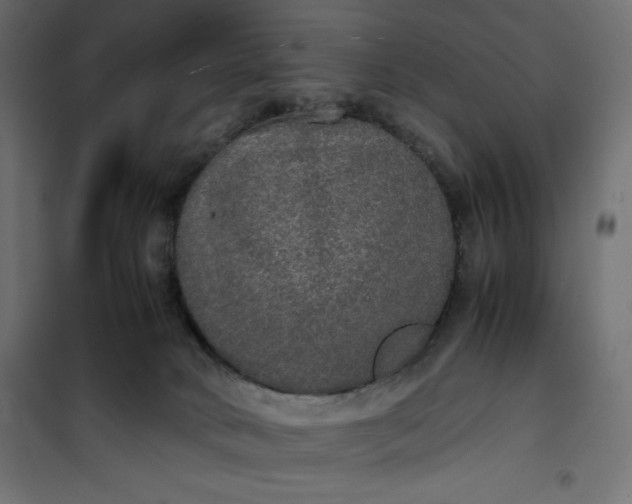 X0000100850034200807070944