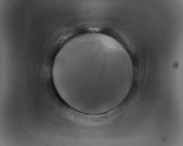 X0000100850035200807070944