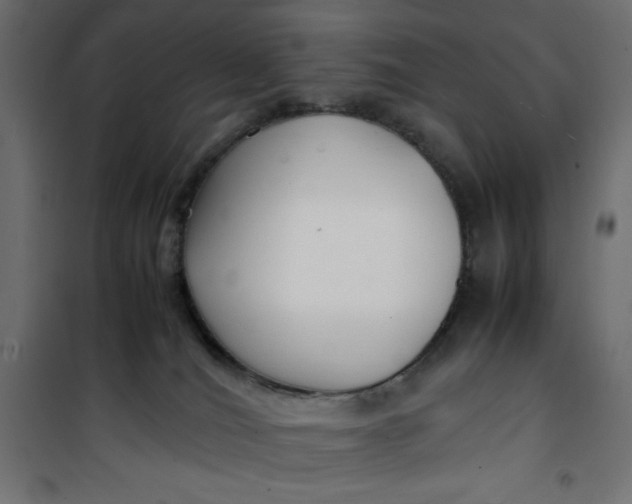 X0000100850036200807070943