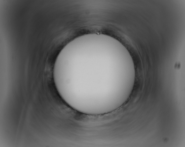 X0000100850037200807070943