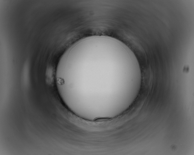 X0000100850038200807070943