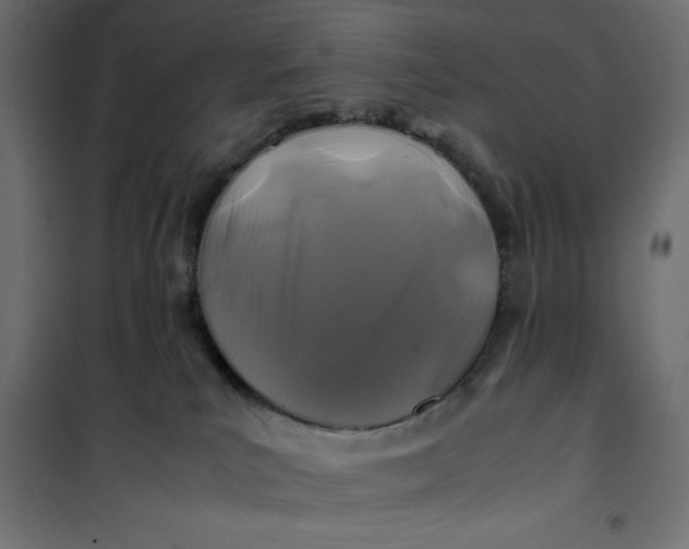 X0000100850039200807070943