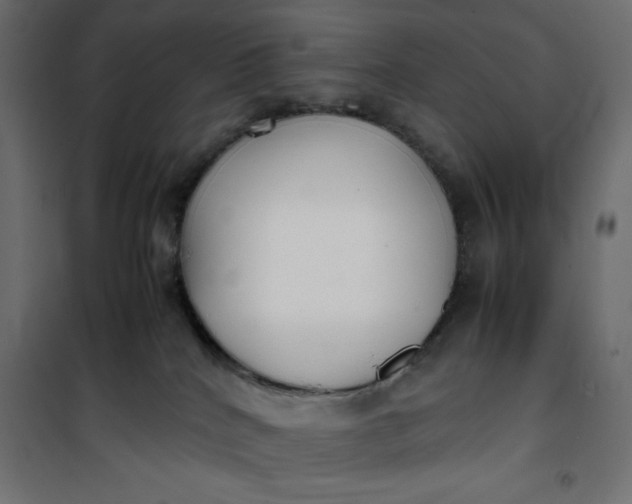 X0000100850040200807070943