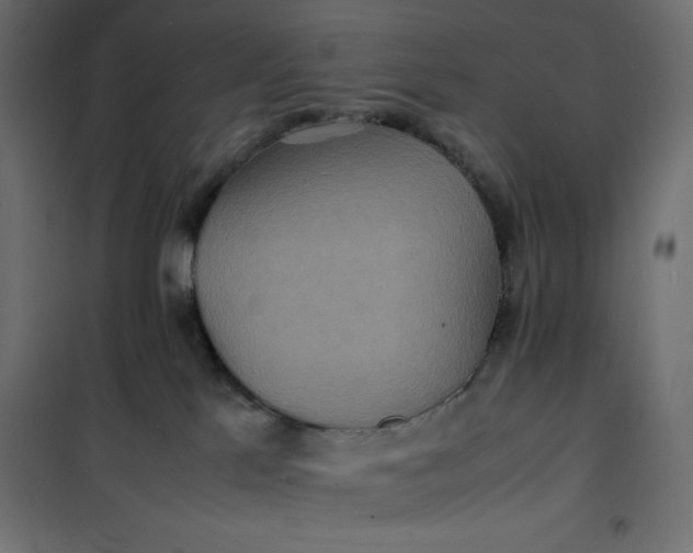 X0000100850041200807070943