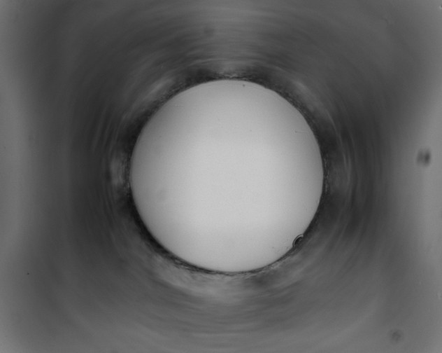 X0000100850044200807070943