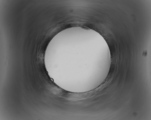 X0000100850045200807070943