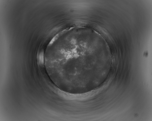 X0000100850046200807070943