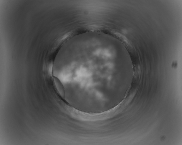 X0000100850047200807070943