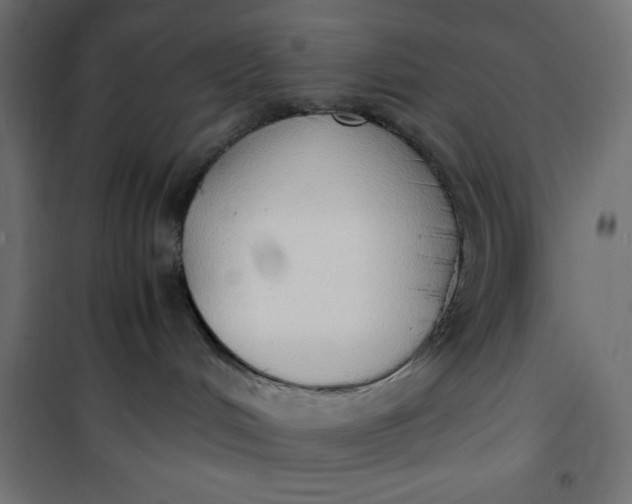 X0000100850048200807070943