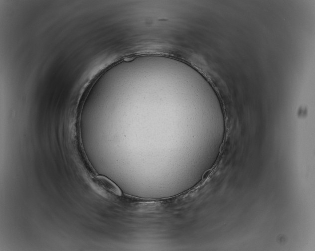 X0000100850050200807070943