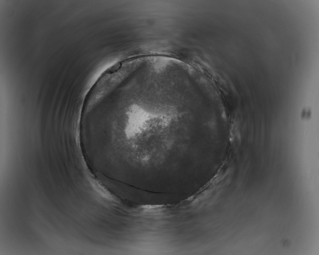 X0000100850052200807070943