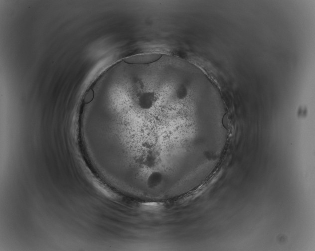 X0000100850053200807070943