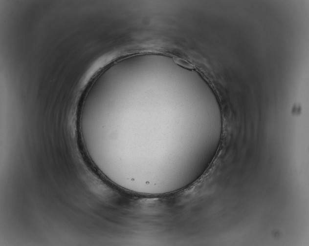 X0000100850054200807070943