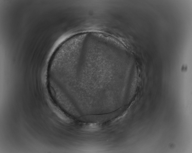 X0000100850056200807070943