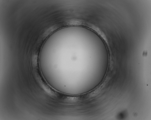 X0000100850057200807070943