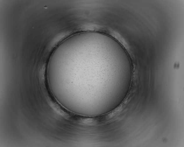 X0000100850058200807070943